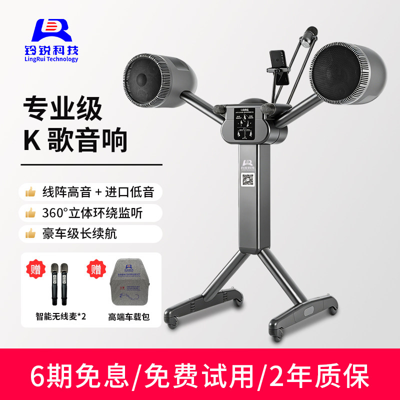 LR铃锐2101-D8移动户外音响便携式k歌功放一体机蓝牙音箱家庭ktv