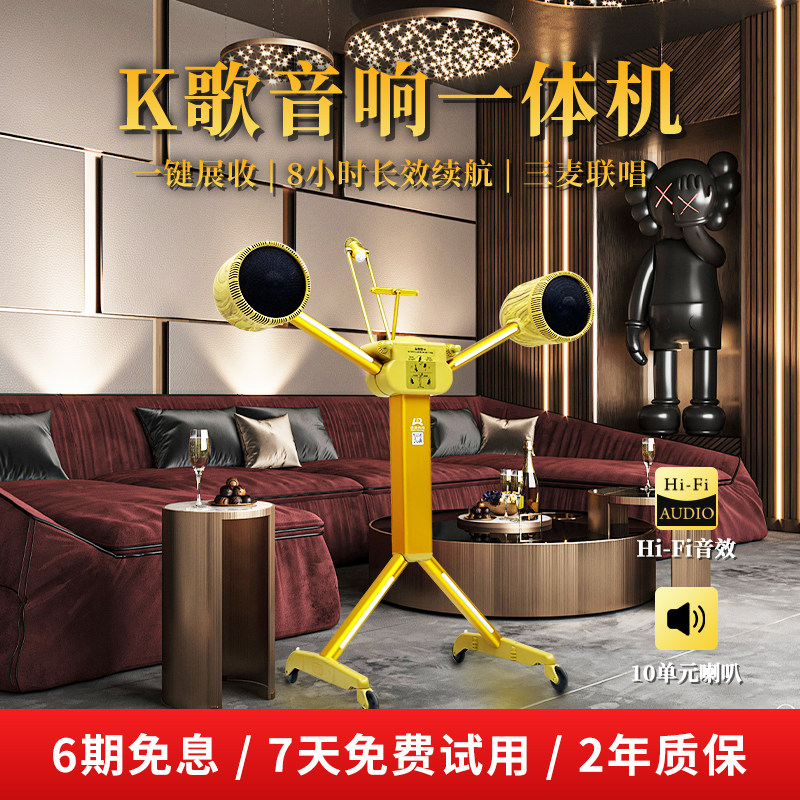 LR玲锐2103-D10M音响家用客厅环绕高端k歌音响一体机户外便携式