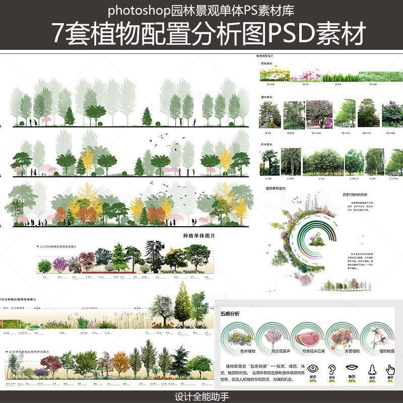 植物分析图植物配置植物季相变化植物种植分析图五感分析psd免扣
