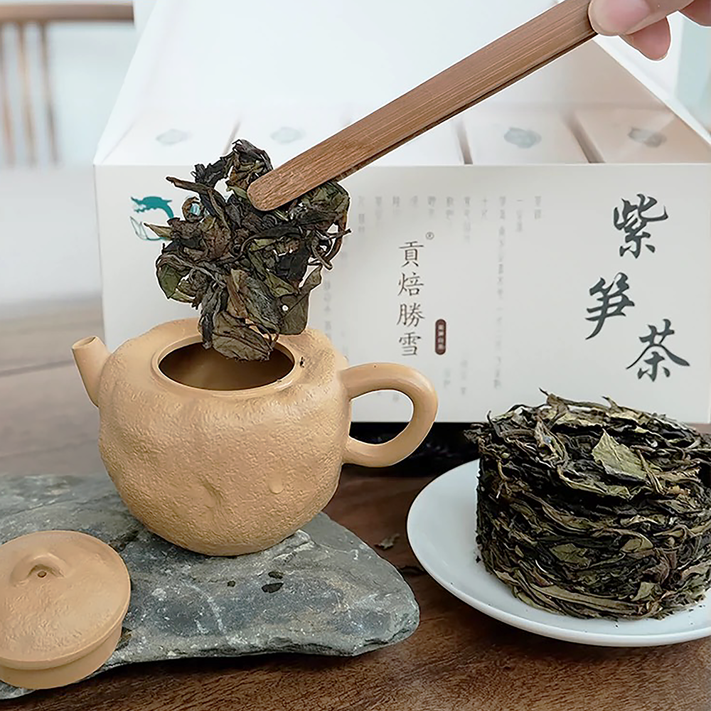 【9元试喝】长兴紫笋茶顾渚贡焙23年贡眉白茶饼10g可磨粉点茶