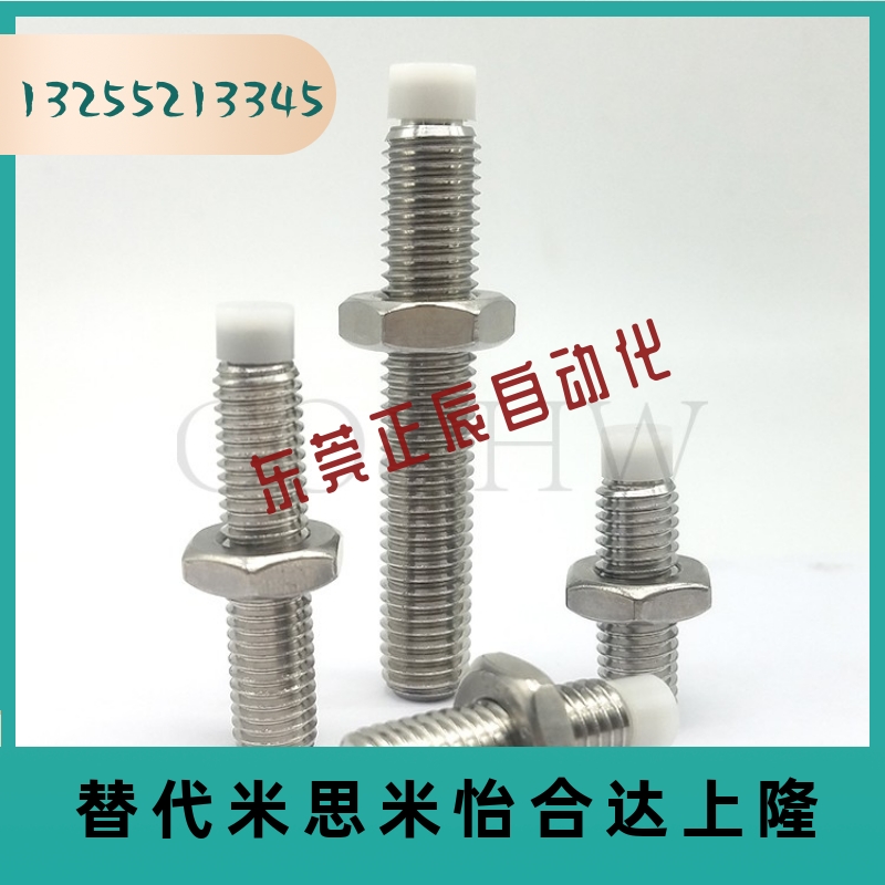 SPUS4 /5/6-10-60 不锈钢带聚缩醛止动螺栓 调整块直杆型 (TDA66)