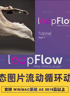 AE插件loopFlow v1.3.1中文汉化静态图片局部流动循环 Win/Mac