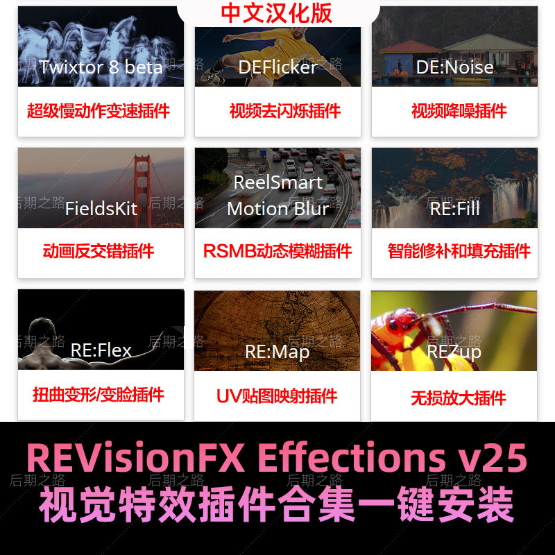 Twixtor/Flicker/RSMB视觉特效插件REVisionFX Effections AE/PR