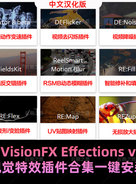 Twixtor/Flicker/RSMB视觉特效插件REVisionFX Effections AE/PR