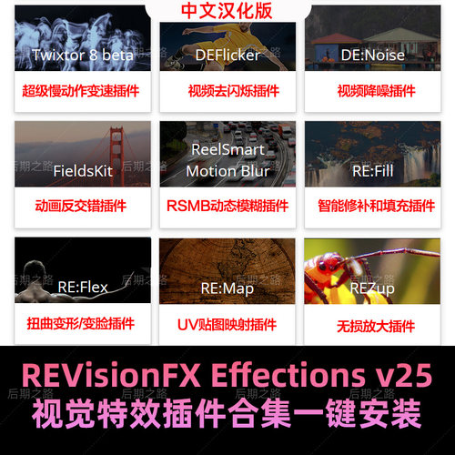 Twixtor/Flicker/RSMB视觉特效插件REVisionFX Effections AE/PR
