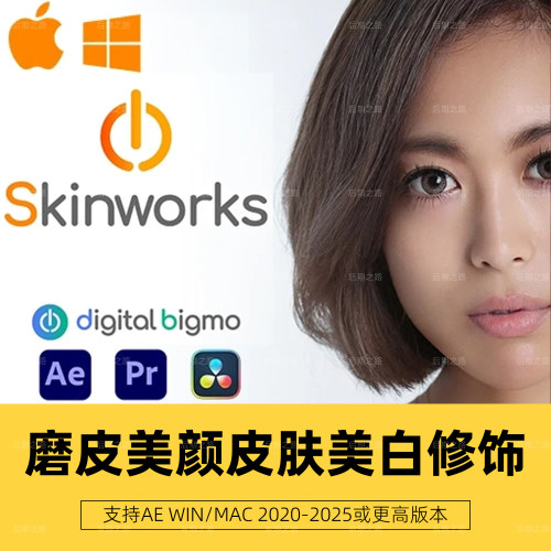 Skinworks2026.11.00插件AE/PR/达芬奇人脸磨皮修饰美颜Win/Mac