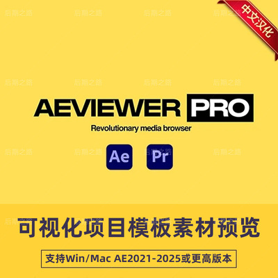AE/PR脚本AEviewer Pro v2.2.3汉化可视化项目模板素材预览工具