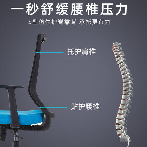 办公室椅子舒适久坐电脑椅家用转椅靠背人体工学可躺升降网布椅