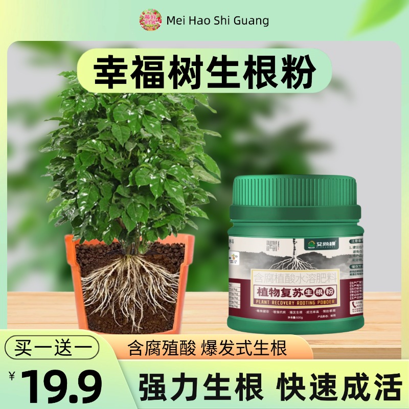 幸福树专用快速生根粉强力生根壮苗剂植物生根液树木移栽