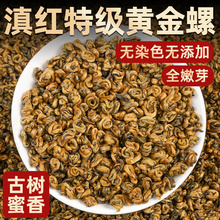滇红金螺2024新茶云南凤庆特级浓香型正宗古树高端蜜香红茶500克