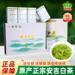 安吉白茶2025新茶高档茶叶送领导长辈正宗浙江特级绿茶礼盒装送礼