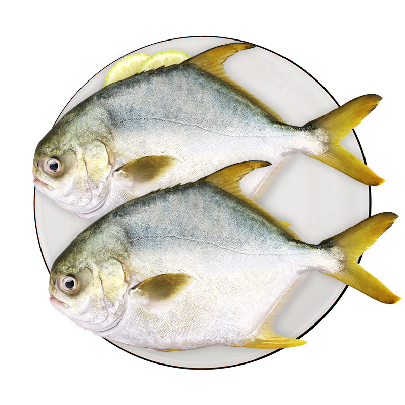 环球水产金鲳鱼700g 2条海鲜水产新鲜冷冻健康轻食