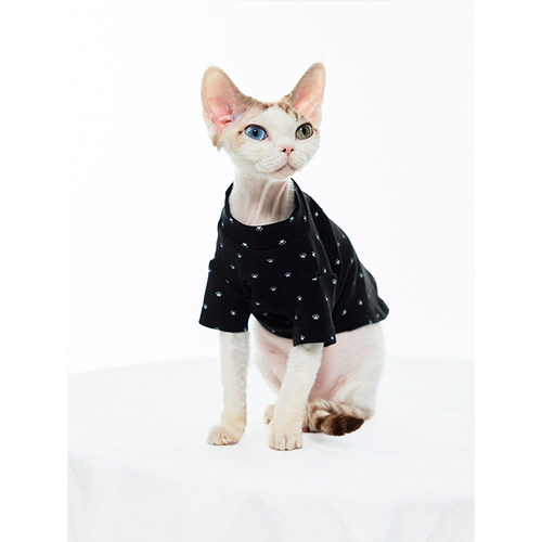 猫狗服饰猫爪波点印花