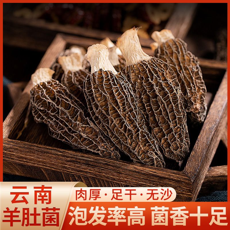 头茬羊肚菌干货野外新鲜菇类蘑菇菌类云南特产羊肚菌煲汤食材批发