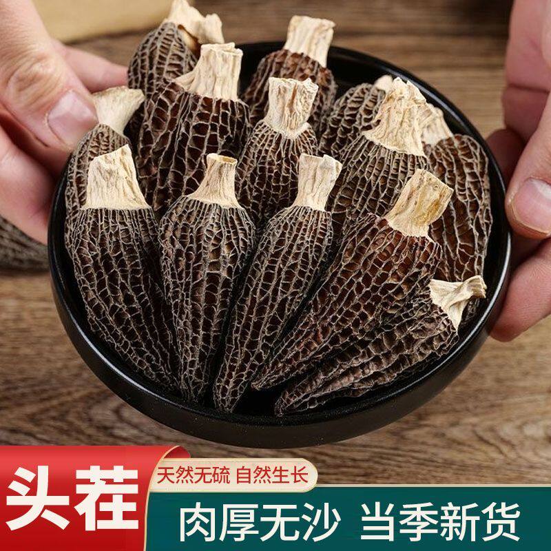 【肉厚脆嫩】云南深山头茬羊肚菌新鲜干货肉厚菌菇炒菜煲汤食材