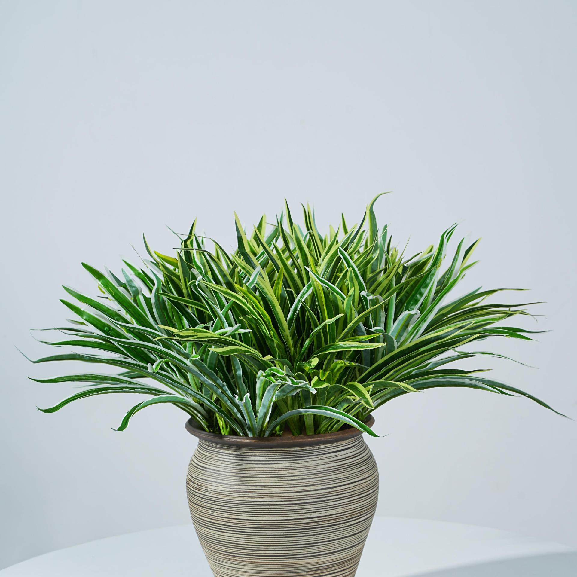 兰花草金边吊兰草吊兰花绿植垂吊盆景室内造景假草仿真绿植盆景