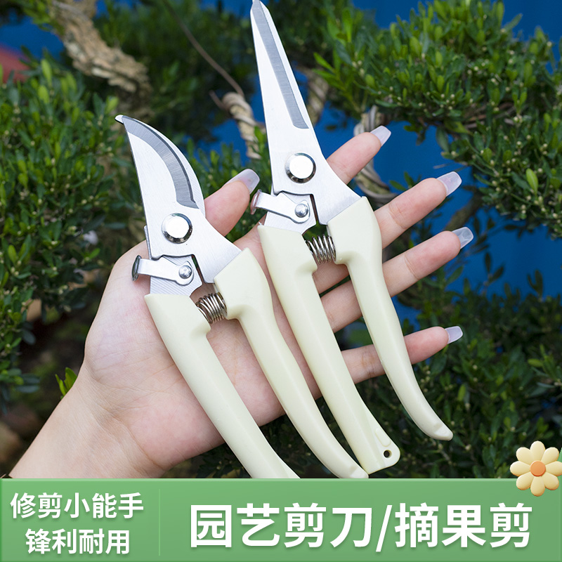 园艺园林修花剪枝粗枝剪刀