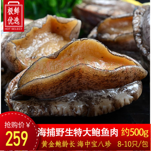 去内脏纯鲍鱼肉小鲍鱼捞汁饭滋补