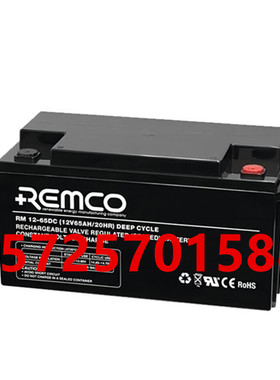 REMCO蓄电池RM12-65DC医疗消防基站设备直流屏UPS电源12V65AH电池