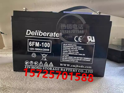 Deliberate蓄电池6FM-100UPS电源
