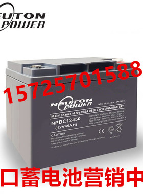 NEUTONPOWER蓄电池NPDC12450直流屏UPS电源应急系统用12V45AH电池