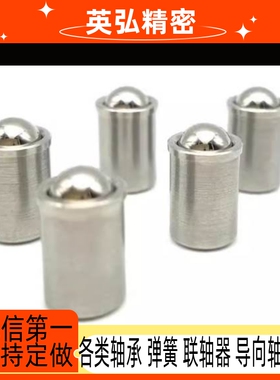 PFSSN/PFSSR/PFPSN/PFPPN2/3/4/5/6/8/10球头柱塞ZAL02-D4 5 6 8