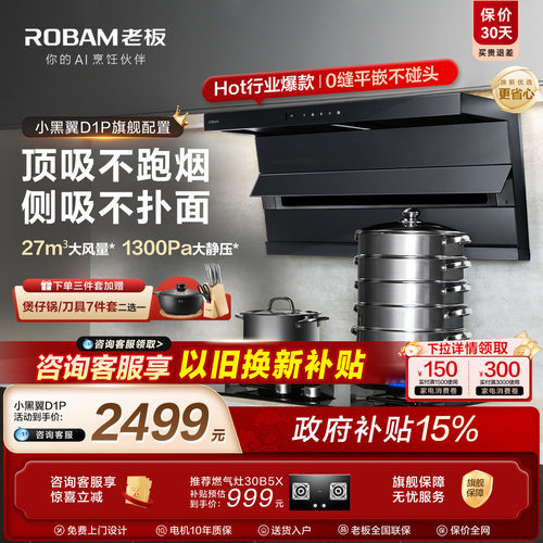 热销第一！老板小黑翼D1P升级款
