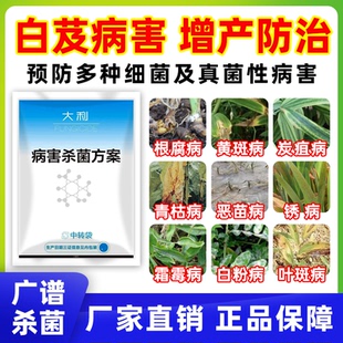 白芨锈病杀菌剂根腐病炭疽病黑斑叶斑病真菌黄叶死苗病害预防治疗