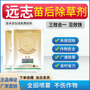远志除草剂专用苗后除草剂禾阔双除杀灭不伤苗精喹禾灵杂草