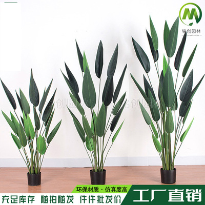 仿真天堂鸟skybird水美人假绿植美人蕉盆栽树北欧客厅旅人蕉树