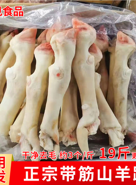 新鲜冷冻羊蹄19斤整箱商用带筋羊蹄子整只生羊脚生鲜食材2-5斤