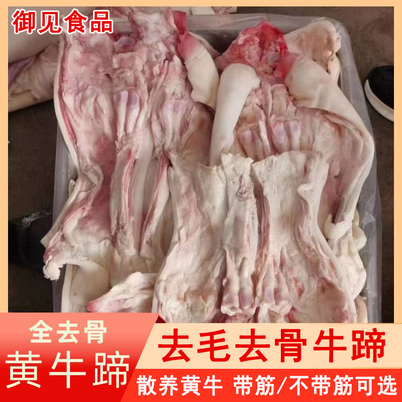 新鲜全去骨牛蹄带筋/不带筋去骨牛蹄子冷冻黄牛生牛脚蹄花生牛肉