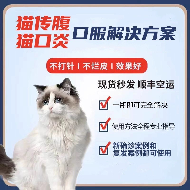猫咪传腹干性湿性口服解决方案 腹膜炎口炎可用 全程专业指导使用
