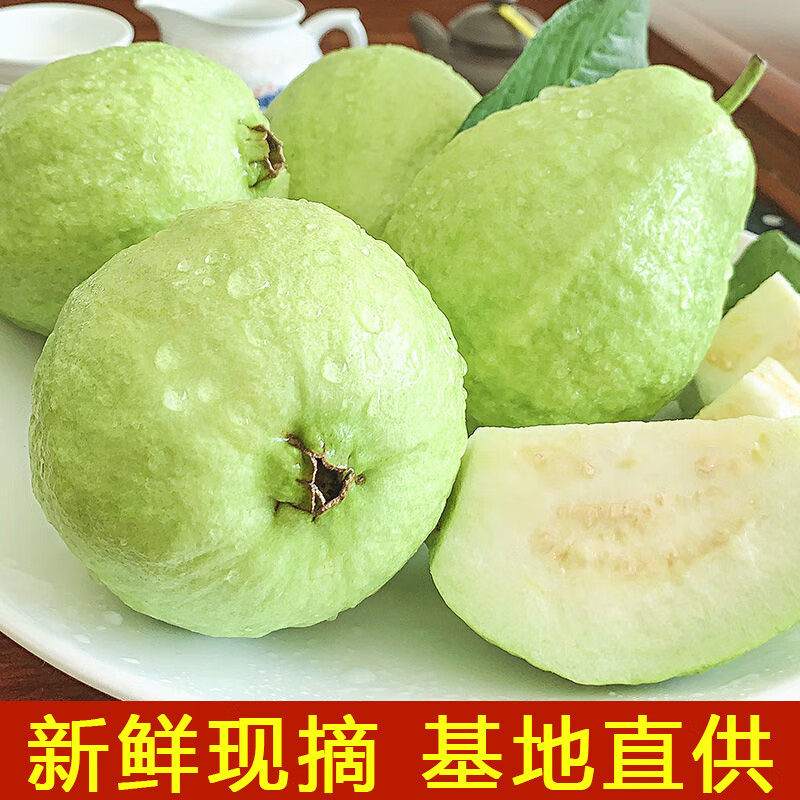 广西奶油芭乐白心冰淇淋大果当季新鲜水果应季软糯脆甜软心番石榴