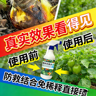 朱顶红红斑病红锈病烂根专用药杀菌剂催花爆芽素种球根营养液肥料