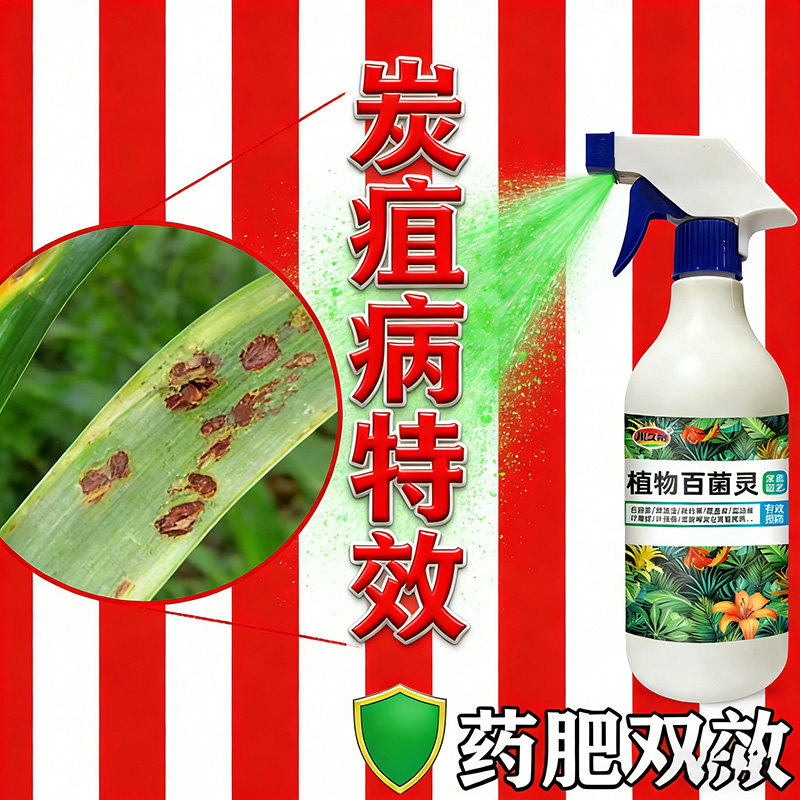 朱顶红红斑病红锈病烂根专用药杀菌剂催花爆芽素种球根营养液肥料,鲜花速递/花卉仿真/绿植园艺,家庭园艺肥料,淘宝优惠券,粉丝福利购,淘宝优惠卷