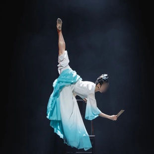 《月影流波》女子古典舞独舞同款舞蹈演出表演服装专业定制