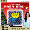 s怡颗莓云南蓝莓脆甜多汁应季 Driscoll 水果旗舰店 胡可推荐