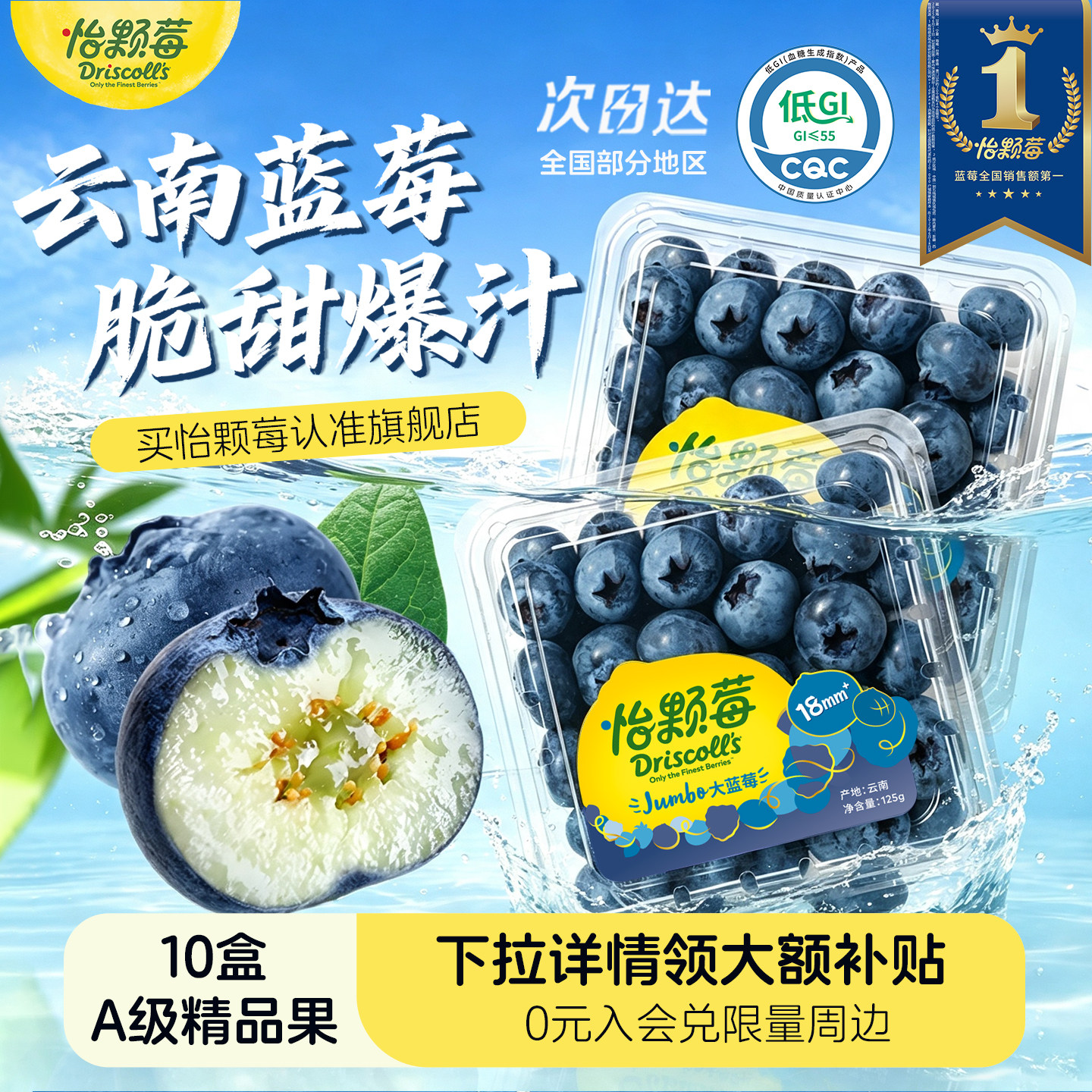 【下拉领补贴】Driscoll's怡颗莓云南蓝莓低GI孕妇当季新鲜水果