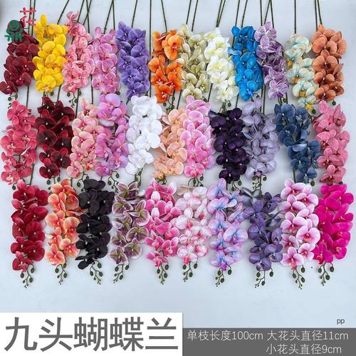 9头蝴蝶兰胶片仿真酒店