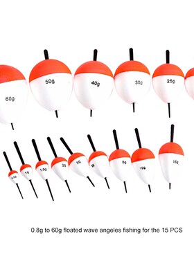 15/10/8/6pcs/Set EPS Fishing Floats Set 0.8g-60g Sea Fish Fl
