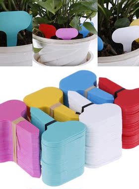 100pcs Garden Labels  Plant Classification Sorting Sign Tag