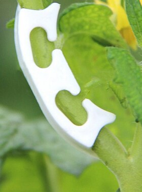 50pcs Plastic Tomato Branch Fixing Clip Fruit Sapling Hangin