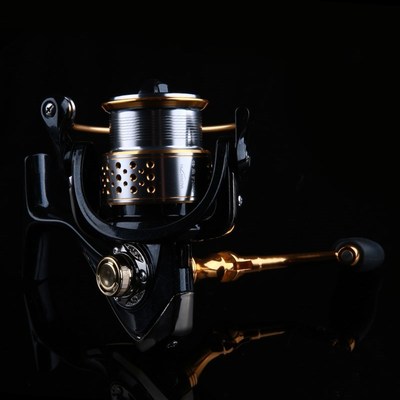 Fishing Reels FENGSHANG 2000  8+1BB 5.21 Double Spool High