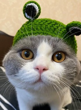 1PC S/M/L Cat Supplies Headdress Dog Ears Autumn and Winter