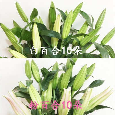 Bouquets of flowers perfume lily base straight Courier city