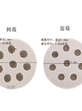 Raspberry blueberry sugar silicone mold Chocolate Mold simul