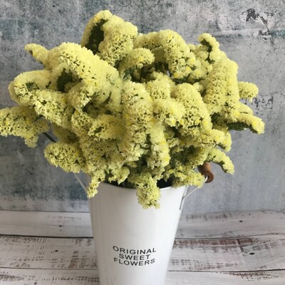 Yunnan forget-me-not dry flower bouquets of dried flowers