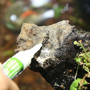 Aquarium Moss Glue Water Plants Glue Fish Tank Coral Reef Or