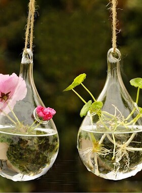*Clear Glass Hanging Vase Bottle Terrarium Container Plant F